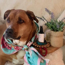 Load image into Gallery viewer, Pauline’s Potions Sacred Sprays collection featuring Luscious Lavender Lace, Antique Rose, and Lotus Magic botanical sprays